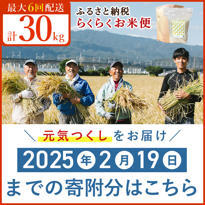 【ふるさと納税｜福岡県大川市】 らくらくお米便｜元気つくし｜合計30kg（5kg×6回）